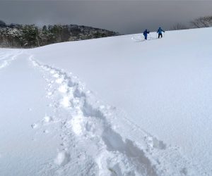 1/26　新雪にトレース、 「僕の前に道穴井、僕の後ろに道が出来る、、、、、」 各自自分の道を作りました。