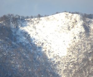 1/21　上蒜山山頂尾根  茅部野より 左の木が生えているほうが山頂