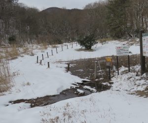 1/24　犬挟り湿地 雪が少ないので水面が見えていますが例年は一面の雪原になります。