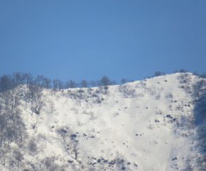 2/5   朝の 上蒜山山頂尾根