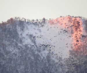 2/5    上蒜山山頂尾根に夕日が射す