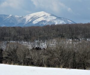 2/13 三平山