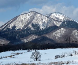 2/13  皆ヶ山、二股山  手前二股、右奥が皆ヶ山、酪大牧草地より