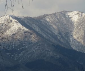 2/23  上蒜山　雪がうっすら積もっています。　