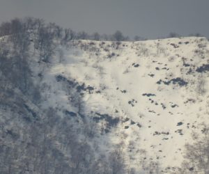 2/23    上蒜山山頂尾根（稜線）