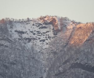 2/26   上蒜山山頂尾根