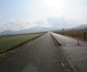 霧の上がった茅部野