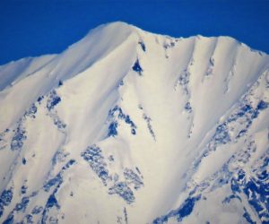 大山の山頂近くは新雪がべっとり