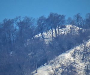 上蒜山三角点付近  手前は山頂に続く登山道