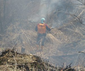 4/7　延焼防止隊　植林地などへの延焼防止に若手が活躍、点火前に刈り払って火道を切る方法と当日20㎏の水を背負って水を噴射し防火帯を作る方法とがあります。ここに刈払機で防火帯を作るのは大変