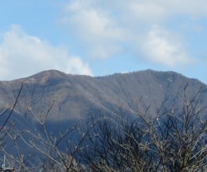 4/9    上蒜山  わずかに雪が残っていました。