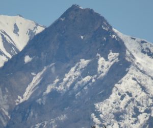 4/9    烏ヶ山  東斜面には雪がありますが南西斜面には雪がありません。