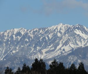 4/9    大山全景