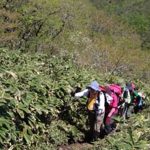 【ガイド活動】蒜山三座縦走登山を案内しました