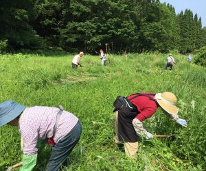 内海湿原②草刈り