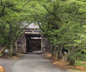 茅部神社２