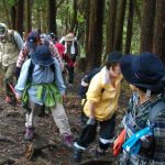 【ガイド活動】第１回蒜山１１２３トレッキングをガイドしました
