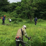 【保全活動】湿原草刈りを行いました