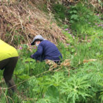 【保全活動】サクラソウ自生地保全活動をしました