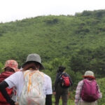 【ツアーレポート】ササユリ登山を開催しました