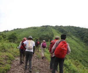 ササユリ登山4