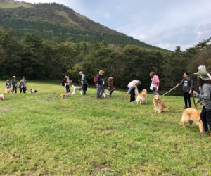 犬ハイキング3