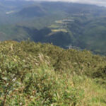 【ガイド活動】三平山～穴ヶ乢周回登山をご案内しました