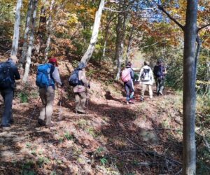 三平山登山23.11．3.4