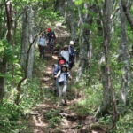 【ツアーレポート】毛無山～白馬山周回登山を開催しました