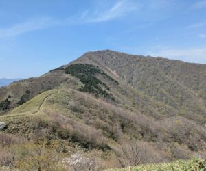 二座25.2