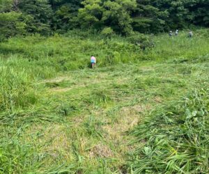 犬挟草刈り25.2