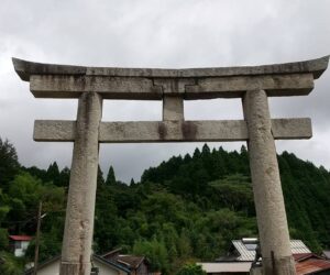 ウォーキング9.21.1